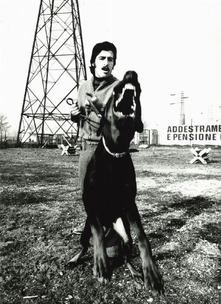 Aldo Bonasia : Centro addestramento cani "Boris", Cologno Monzese  - Asta Fotografia: Under 1K - Associazione Nazionale - Case d'Asta italiane