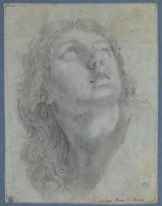 BATONI POMPEO (1708 - 1787) - Attribuito a. Testa di giovane.