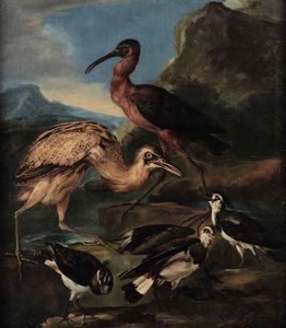 Crivelli detto il Crivellone Angelo Maria : Uccelli acquatici  - Asta Dipinti Antichi - Associazione Nazionale - Case d'Asta italiane
