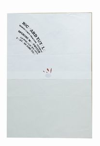 Richard Tuttle - Richard Tuttle Memory comes from dark extensionNew York, Sperone Westwater Gallery, 2007, 81,2x55,7 cm.