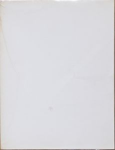 AA.VV. - Carl Andre - Robert Barry - Douglas Huebler - Joseph Kosuth - Sol Lewitt - Robert Morris - Lawrence Weiner (Xerox book)New York, Seth Siegelaub / John W. Wender, 1968, 27x20,5 cm., brossura, pp. [370]