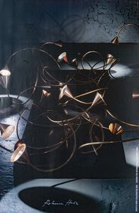 Rebecca Horn - Lotusschatten Unna, Zentrum fr internationale Lichtkunst, 2006, 80x52 cm.