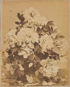 CHARLES AUBRY - Bouquet de pivoines