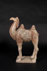 Arte Cinese - 'Cammello battriano in terracottaCina, dinastia Tang, IX secolo '
