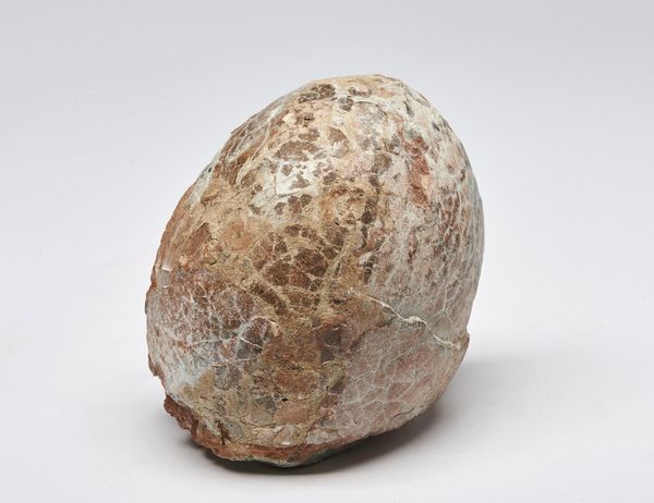 Naturalia : Uovo fossilizzatoAfrica  - Asta ASTA 302 - NATURALIA E MIRABILIA - Associazione Nazionale - Case d'Asta italiane