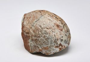 Naturalia : Uovo fossilizzatoAfrica  - Asta ASTA 302 - NATURALIA E MIRABILIA - Associazione Nazionale - Case d'Asta italiane