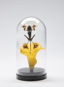 Naturalia - Campana di vetro con rana volante India