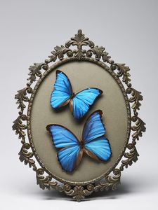 Naturalia - Cornice con farfalle  Per