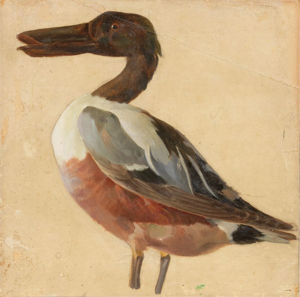 Uccello acquatico  - Asta Dipinti e Sculture del XIX e XX secolo - Associazione Nazionale - Case d'Asta italiane