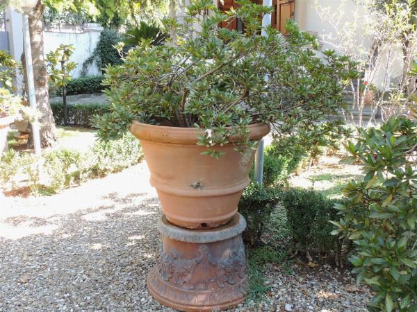 Grande vaso d'epoca in terra di galestro con azalea  - Asta House Sale: Il Parco - Associazione Nazionale - Case d'Asta italiane