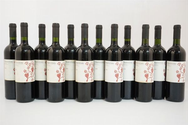 Montevetrano Azienda Agricola Montevetrano di Silvia Imparato 2000  - Asta ASTA A TEMPO | Smart Wine & Spirits - Associazione Nazionale - Case d'Asta italiane