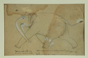 Arte Indiana - Disegno preparatorio fronte e retro raffigurante due elefantiIndia, XIX secolo
