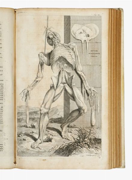 ANDREAS VESALIUS : Opera omnia anatomica & chirurgica... Tomus primus (-secundus).  - Asta Grafica & Libri - Associazione Nazionale - Case d'Asta italiane