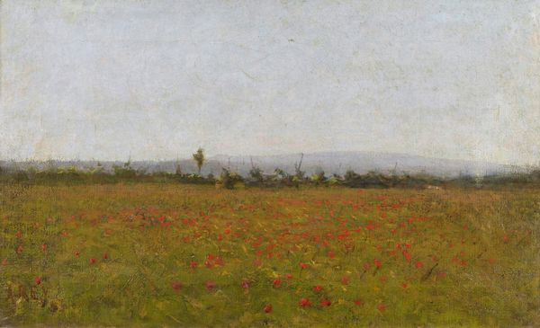 REY AUGUSTO (1837 - 1898) : Paesaggio con campo di papaveri.  - Asta ASTA 311 - ARTE ANTICA E DEL XIX SECOLO - Associazione Nazionale - Case d'Asta italiane