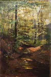 VON FICHARD MAXIMILIAN  (1836 - 1922) - Paesaggio boscoso con ruscello.