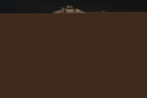 Arte Himalayana : Cheppu in bronzo dorato repoussTibet, seconda met XIX secolo  - Asta ASTA 316 - ARTE ORIENTALE PI ARTE AFRICANA E NATURALIA  (online) - Associazione Nazionale - Case d'Asta italiane