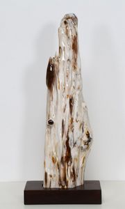 Naturalia : Frammento di legno fossilizzato Africa  - Asta ASTA 316 - ARTE ORIENTALE PI ARTE AFRICANA E NATURALIA  (online) - Associazione Nazionale - Case d'Asta italiane