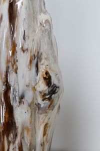 Naturalia : Frammento di legno fossilizzato Africa  - Asta ASTA 316 - ARTE ORIENTALE PI ARTE AFRICANA E NATURALIA  (online) - Associazione Nazionale - Case d'Asta italiane