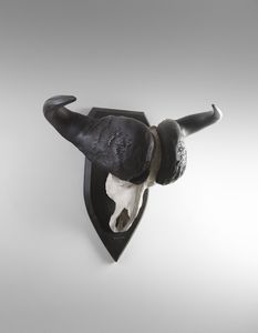Naturalia - Trofeo con corna di bufalo neroAfrica meridionale, c.1970