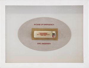 ANDERSEN ERIC (n. 1943) - In case of emergency.