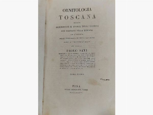 Paolo Savi : Ornitologia toscana  - Asta Asta 206 - Libri Antichi - Associazione Nazionale - Case d'Asta italiane