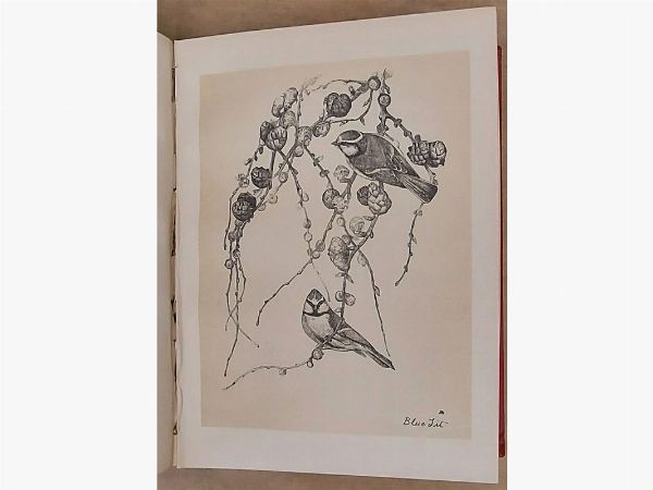 Birds from Moidart and elsewhere  - Asta Asta 206 - Libri Antichi - Associazione Nazionale - Case d'Asta italiane