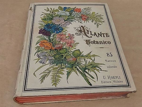 Giovanni Briosi : Atlante botanico  - Asta Asta 206 - Libri Antichi - Associazione Nazionale - Case d'Asta italiane