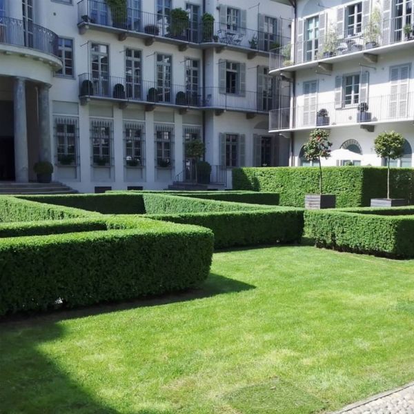 Turin Garden : Il Dottore dei Giardini  - Asta Asta Benefica: Win&Itaca - Per la mente con gusto - Associazione Nazionale - Case d'Asta italiane