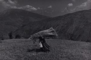 Una donna trasporta una balla di fieno, Kodel, Albania  - Asta Fotografia - Associazione Nazionale - Case d'Asta italiane