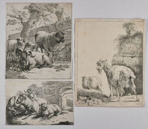 ROOS JOHANN HEINRICH (1631 - 1685) - Gruppo di tre incisioni raffiguranti ovini.