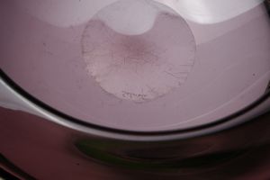 VETRERIA SALVIATI : Centrotavola in vetro ametista decorato con applicazioni a spirale color verde  - Asta ASTA 332 - DESIGN (online ) - Associazione Nazionale - Case d'Asta italiane