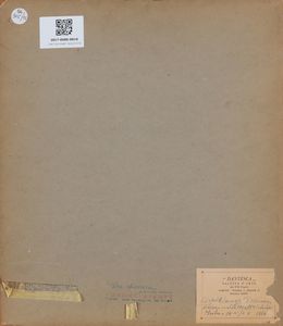 SURVAGE  LEOPOLD (1879 - 1968) : Pechenses.  - Asta 225 MODERN & CONTEMPORARY - Associazione Nazionale - Case d'Asta italiane