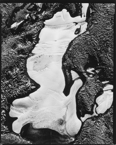 Brett Weston : Still life, Ice  - Asta Fotografia - Associazione Nazionale - Case d'Asta italiane