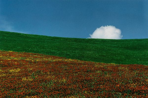 Franco Fontana : Landscape  - Asta Fotografia - Associazione Nazionale - Case d'Asta italiane