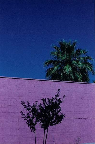 Franco Fontana : Paesaggio Urbano, Phoenix - Arizona  - Asta Fotografia - Associazione Nazionale - Case d'Asta italiane