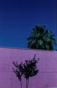 Franco Fontana - Paesaggio Urbano, Phoenix - Arizona