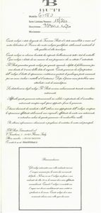 BUTI GIOTTO TITAN CRONOGRAFO N. 18/500  - Asta Asta a Tempo | Orologi e penne - Associazione Nazionale - Case d'Asta italiane
