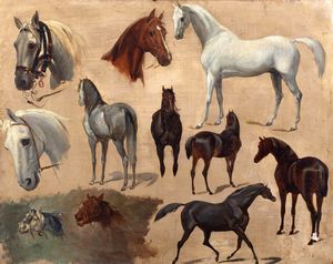 ,Scuola italiana, secolo XIX - Studi di cavalli