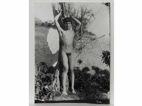 ,Wilhelm von Gloeden : Taormina Nudo maschile e albero, 1910 circa  - Asta Immagini di Sicilia dallo Studio d'Agata ed altre collezioni - Associazione Nazionale - Case d'Asta italiane