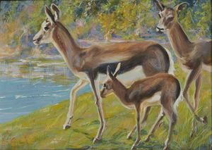BALLA ELICA (1914 - 1995) - La famiglia di gazzelle.