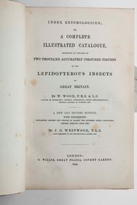 ,William Wood - Wood William A complete illustrated catalogue consisting of upwards of two thousand accurately coloured figures of the lepidopterus insects of Great Britain... London, G. Willis, 1854