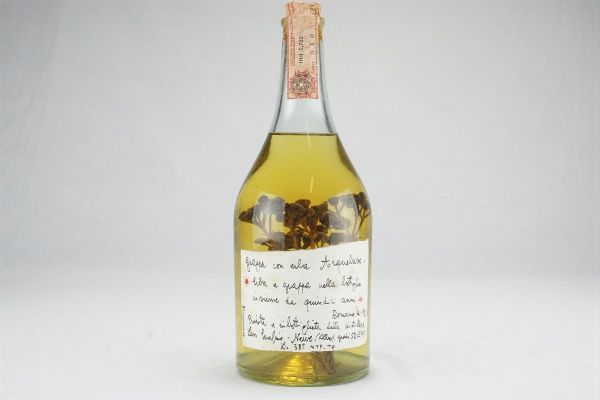 Grappa con Erba Arquebuse Levi Serafino 1992  - Asta Rum, Whisky e Distillati da Collezione | Asta a Tempo - Associazione Nazionale - Case d'Asta italiane