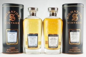 Selezione Signatory Vintage 1989  - Asta Rum, Whisky e Distillati da Collezione | Asta a Tempo - Associazione Nazionale - Case d'Asta italiane