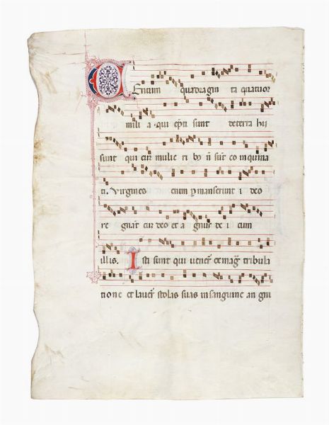 2 grandi fogli pergamenacei con notazione musicale.  - Asta Libri, autografi e manoscritti - Associazione Nazionale - Case d'Asta italiane