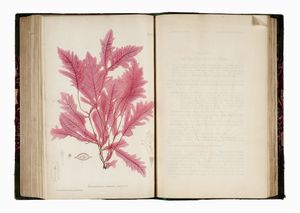 WILLIAM GROSART JOHNSTONE : The nature printed British sea-weeds: a history, accompanied by figures and dissections, of the Algae of British isles...  - Asta Libri, autografi e manoscritti - Associazione Nazionale - Case d'Asta italiane