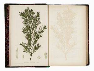 WILLIAM GROSART JOHNSTONE : The nature printed British sea-weeds: a history, accompanied by figures and dissections, of the Algae of British isles...  - Asta Libri, autografi e manoscritti - Associazione Nazionale - Case d'Asta italiane