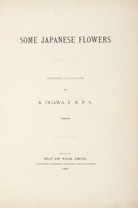 KAZUMASA OGAWA - Some Japanese flowers.