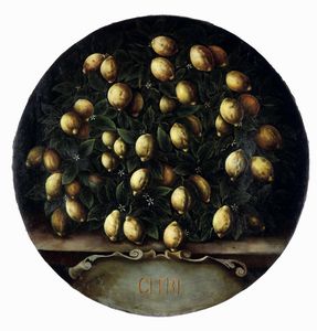 ,Bartolomeo Bimbi - Nature morte con limoni e arance