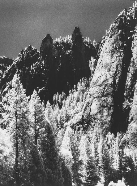 ,Elio Ciol : Alberi e rocce - Yosemite  - Asta Fotografia: Under 1K - Associazione Nazionale - Case d'Asta italiane
