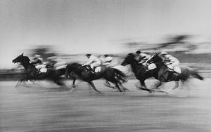 ,David Murray Moore - Horse racing